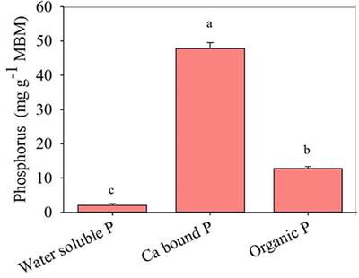 Dual Inoculation With Arbuscular Mycorrhizal Fungi and Phosphorus Solubilizing Fungi Synergistically Enhances the Mobilization and Plant Uptake of Phosphorus From Meat and Bone Meal